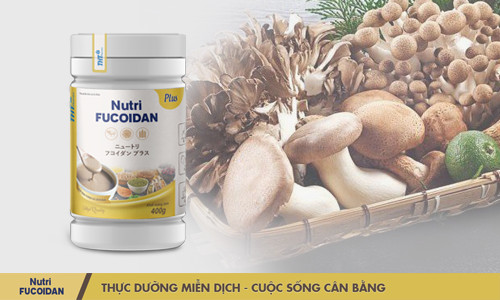Sống cân bằng nhờ thực dưỡng hiện đại công nghệ Nhật bản